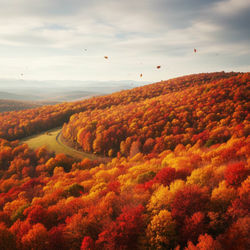 Broken Streets, Bright Hearts