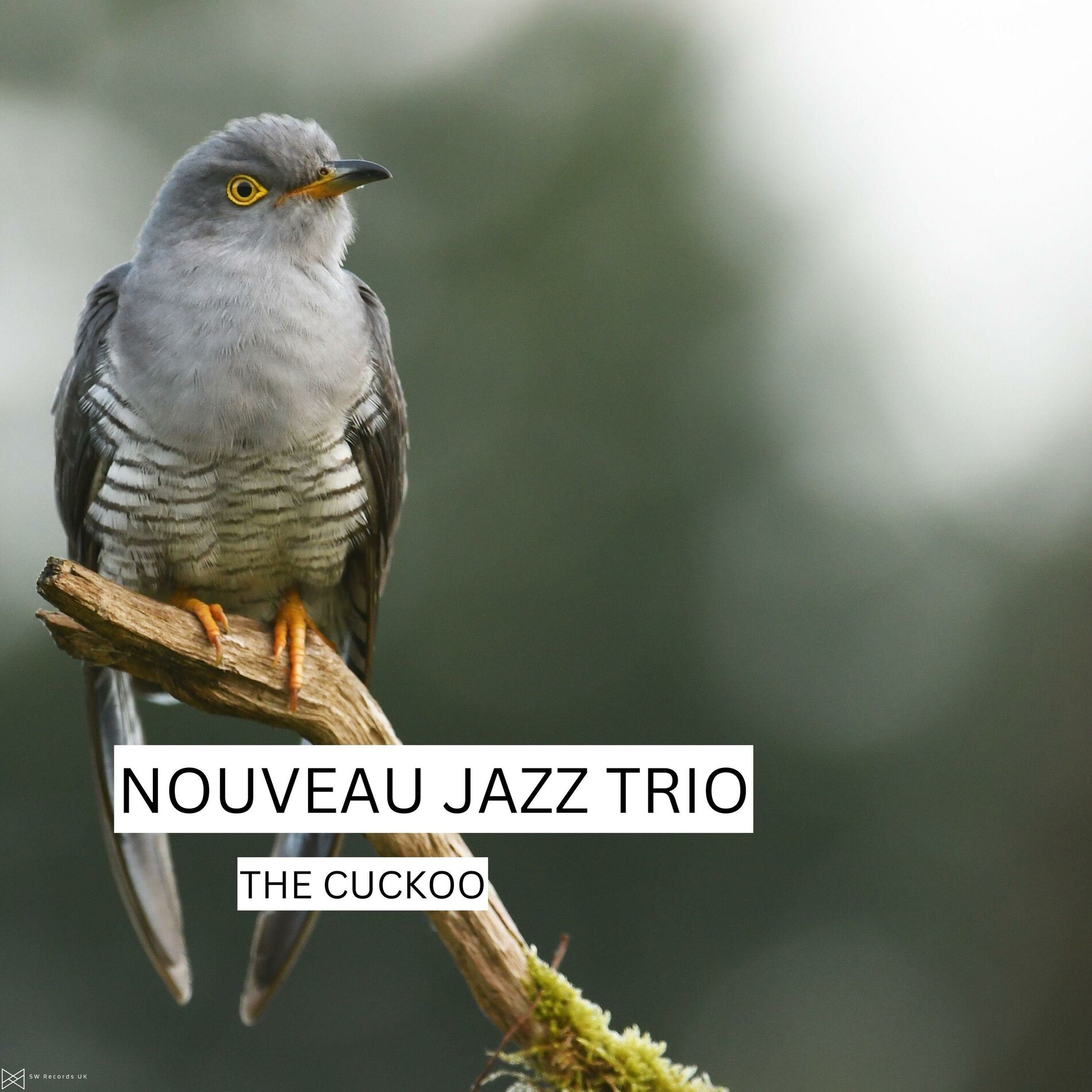 Album cover of The Cuckoo
