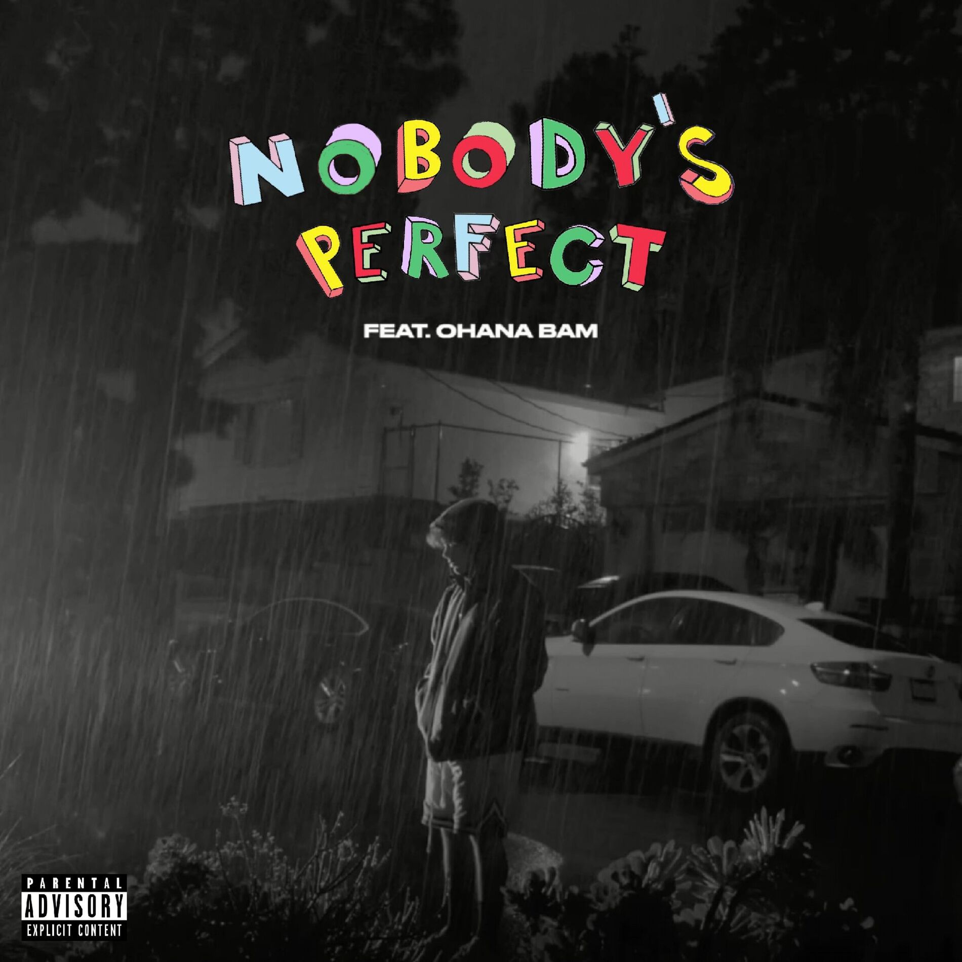 Album cover of Nobody's Perfect