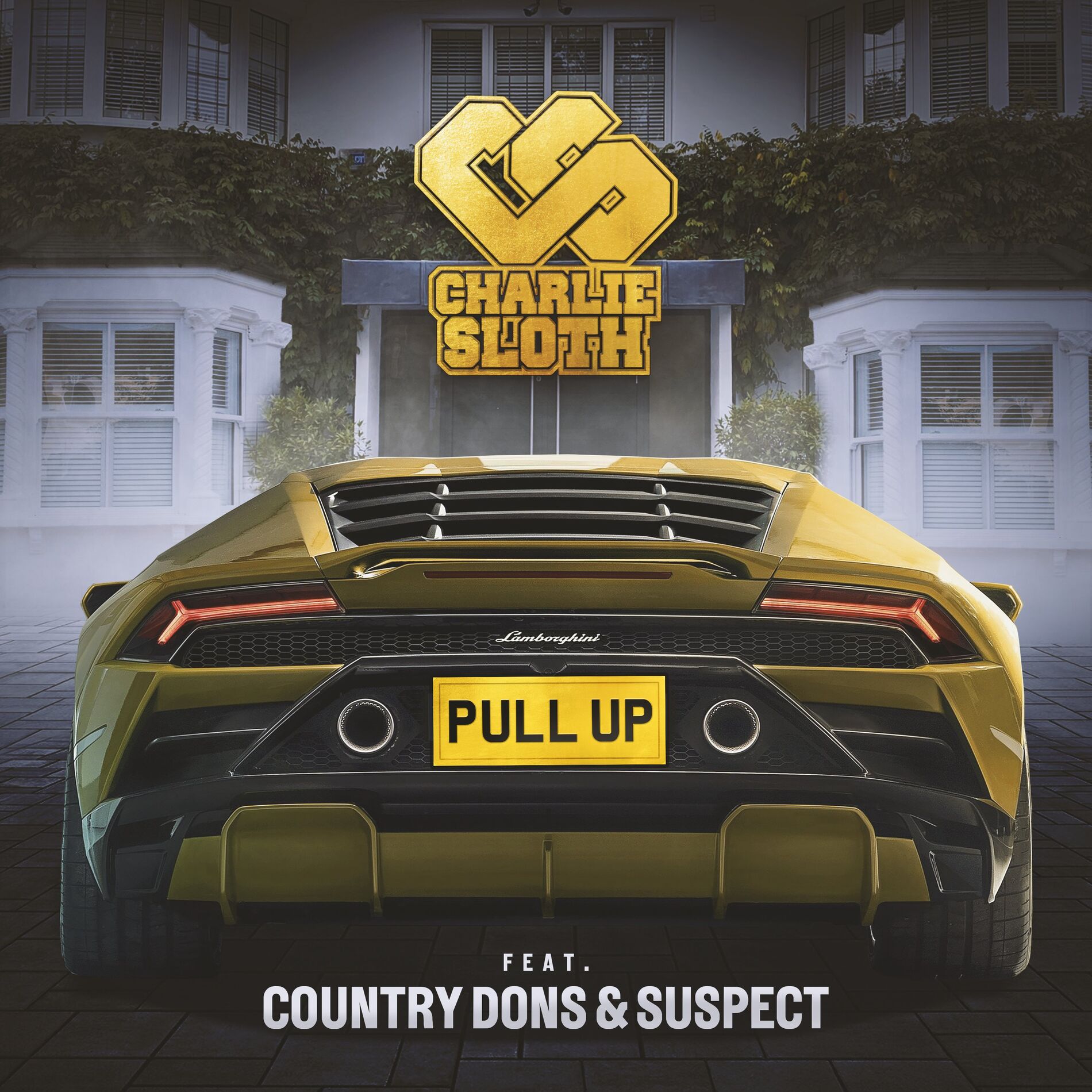 Album cover of Pull Up (feat. Country Dons & Suspect OTB)