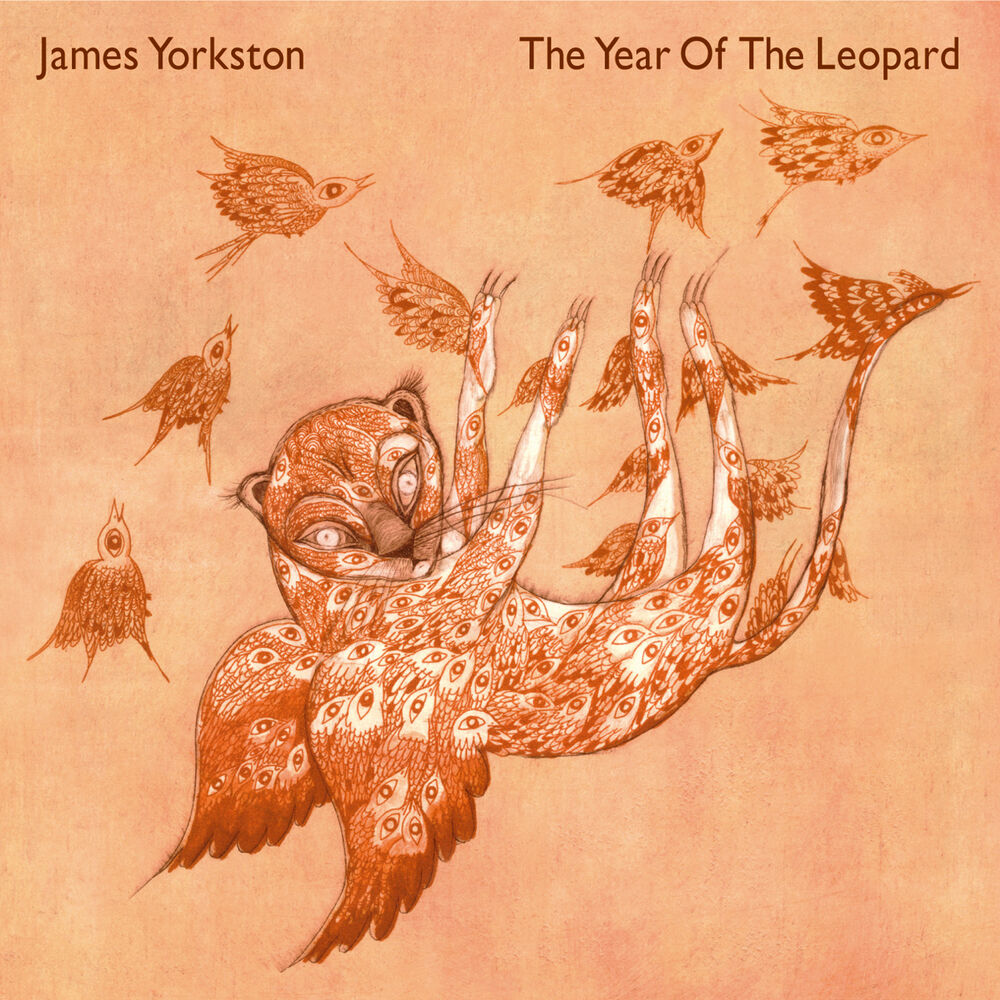 Picture of The Year Of The Leopard