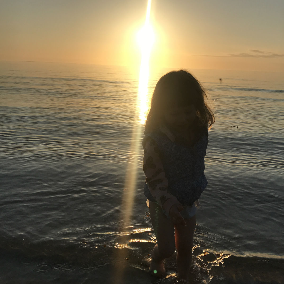 Album cover of Vaggvisa