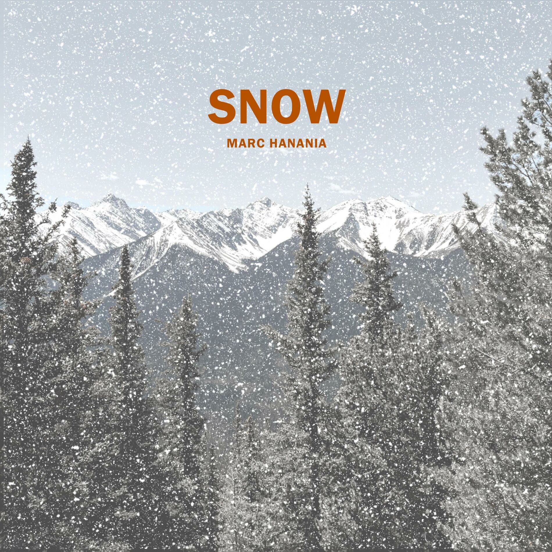 Album cover of Snow