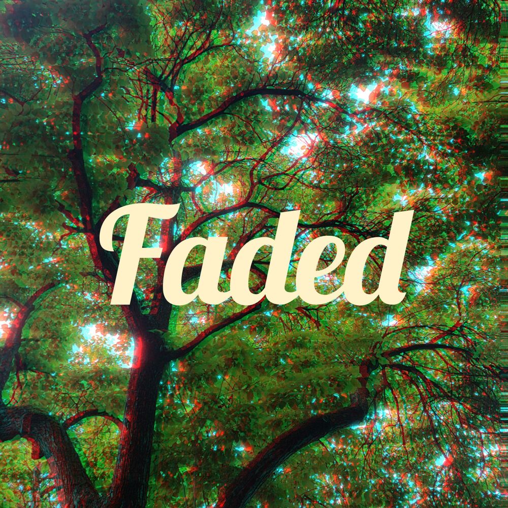 Picture of Faded