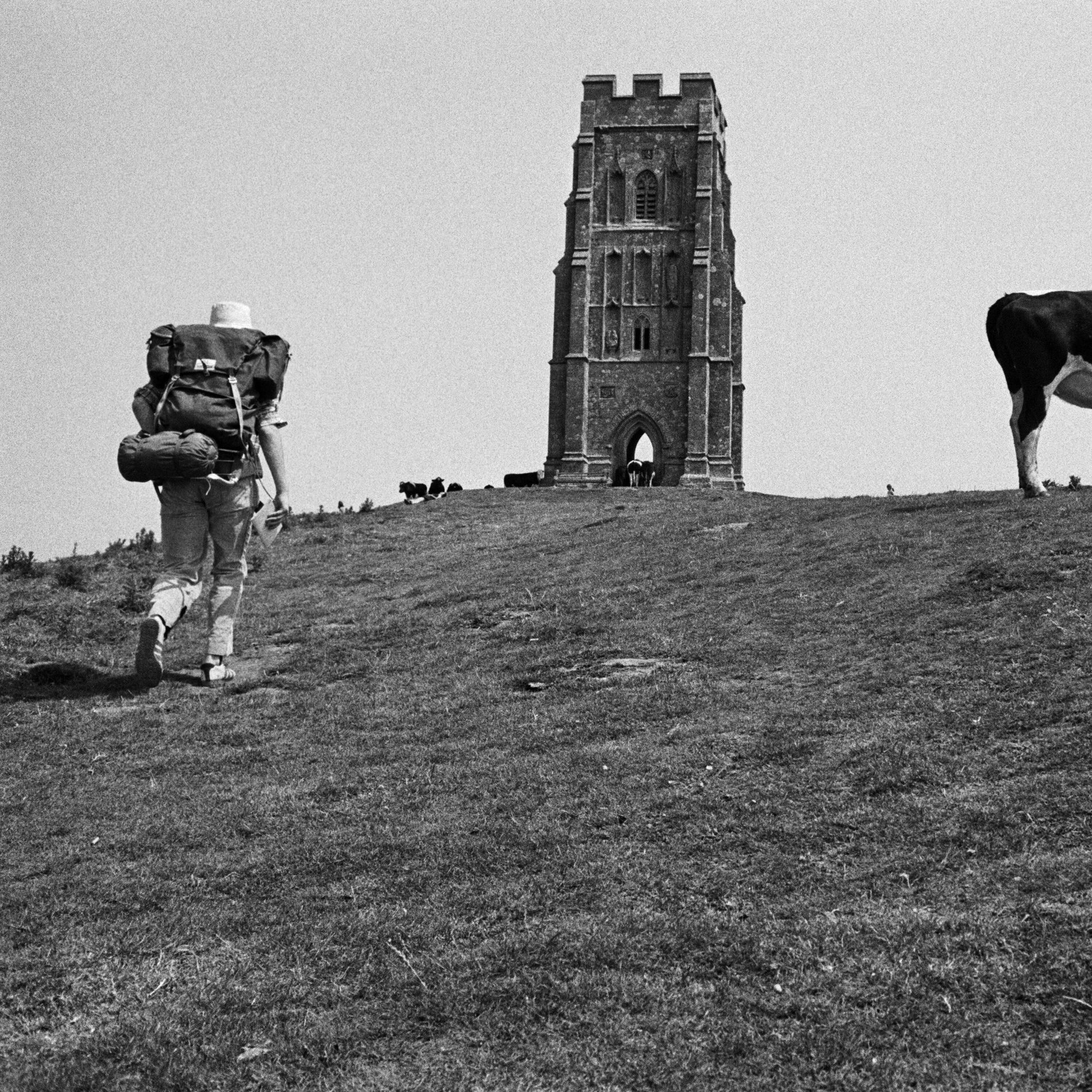 Album cover of Darkness on the Dancefloor