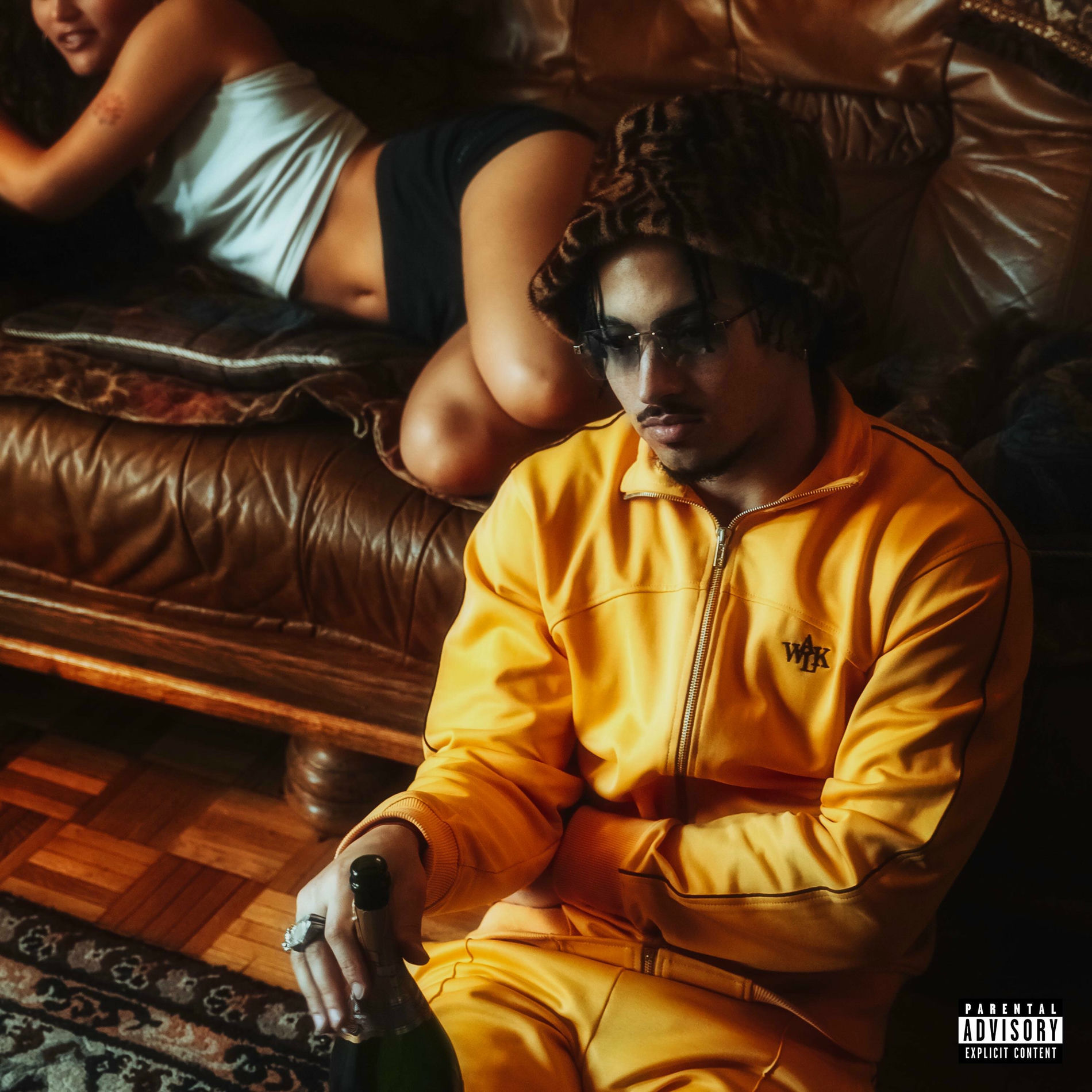 Album cover of Le Plan