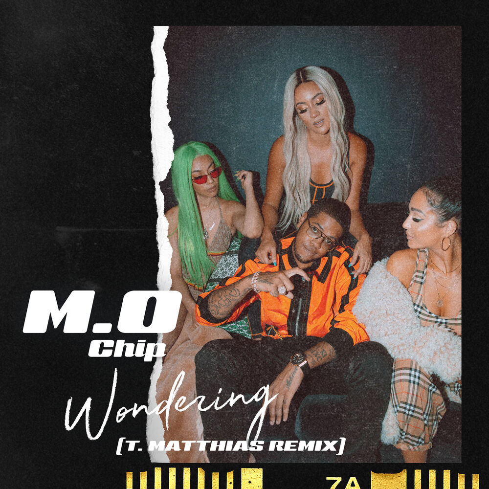 Picture of Wondering (T. Matthias Remix)
