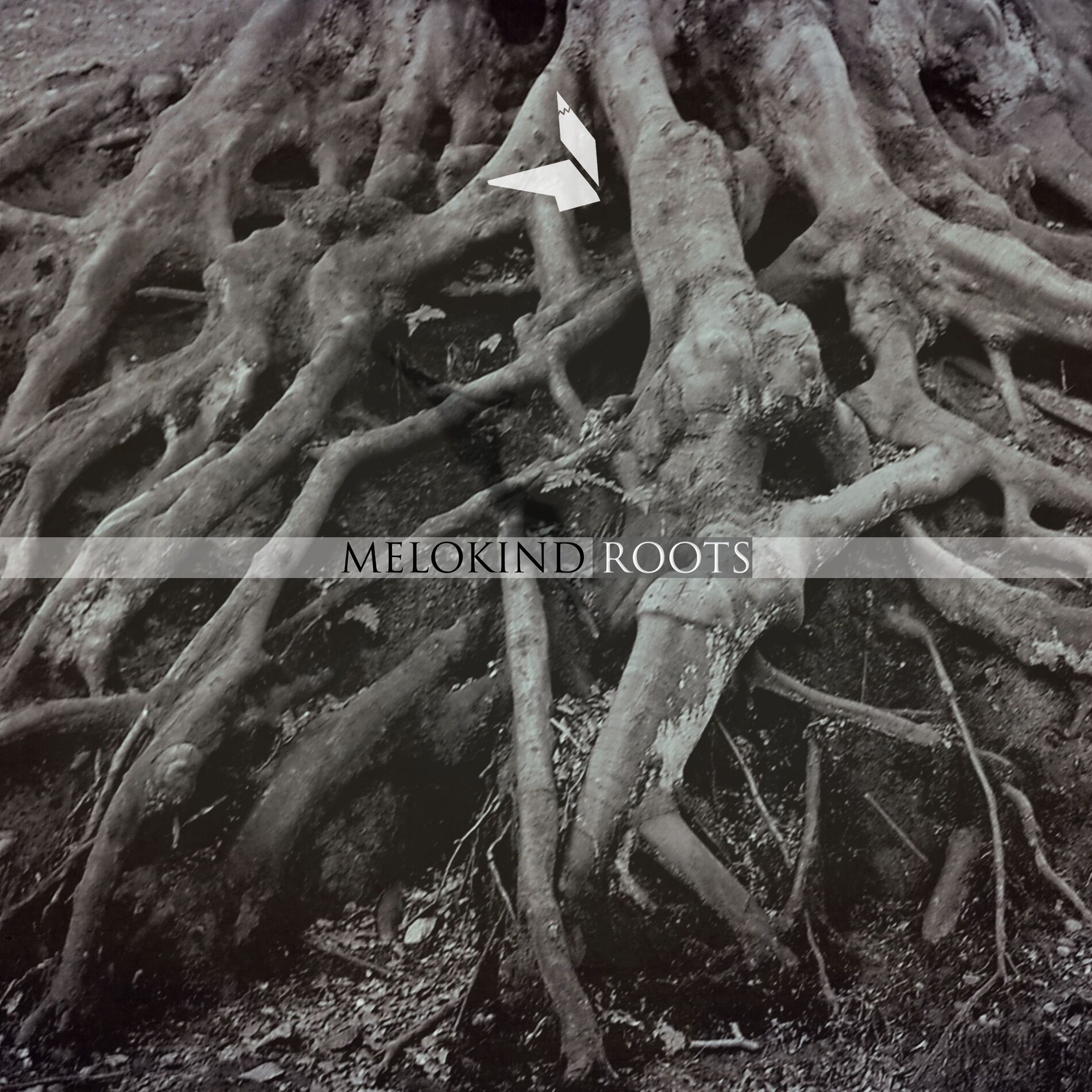 Album cover of Roots