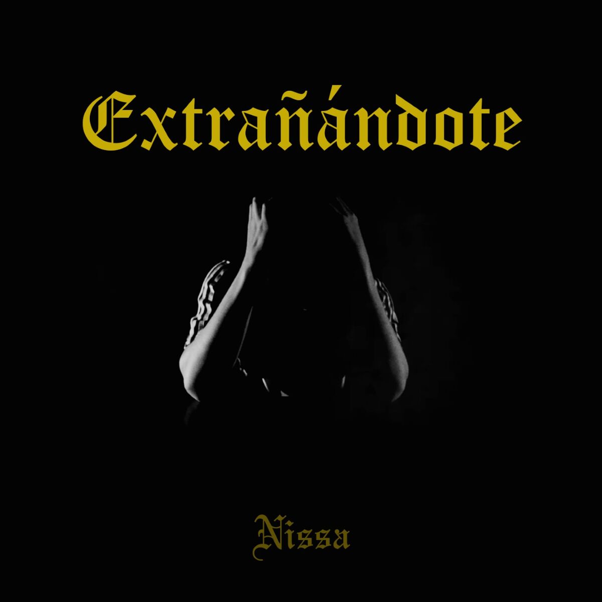 Album cover of Extrañándote