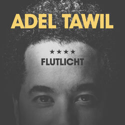 Cover of Flutlicht