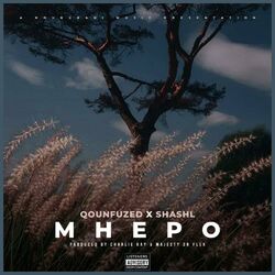 Cover of Mhepo (feat. Shashl)