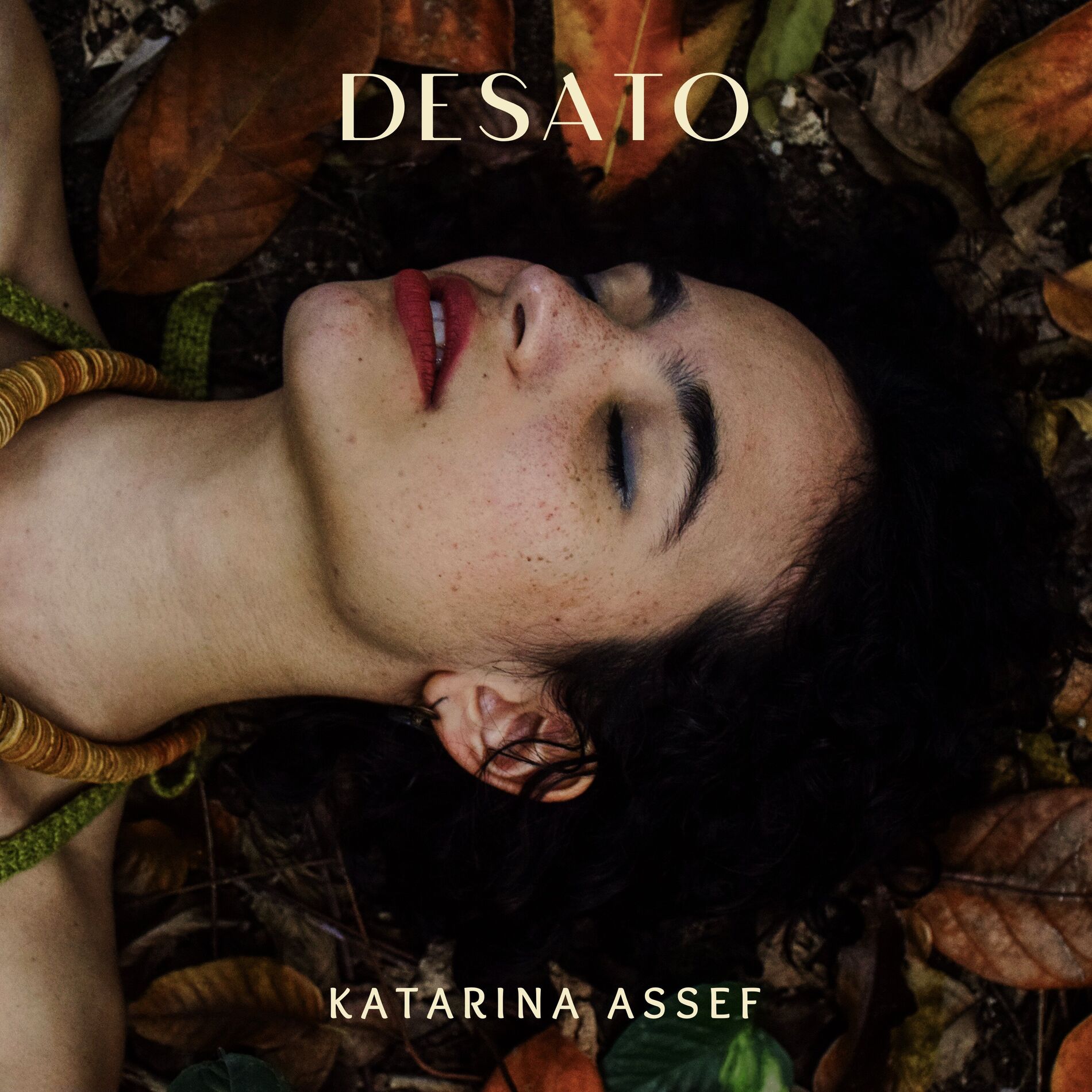 Album cover of Desato
