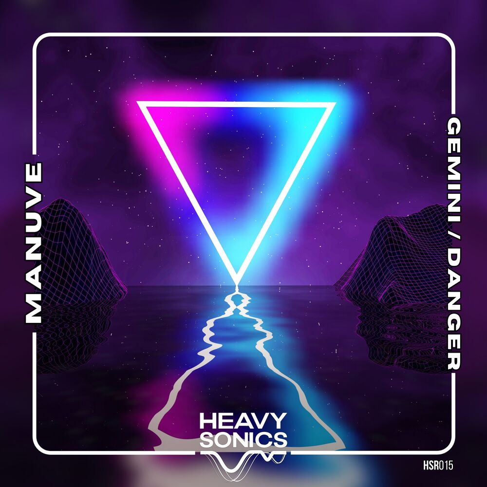 Picture of Gemini / Danger