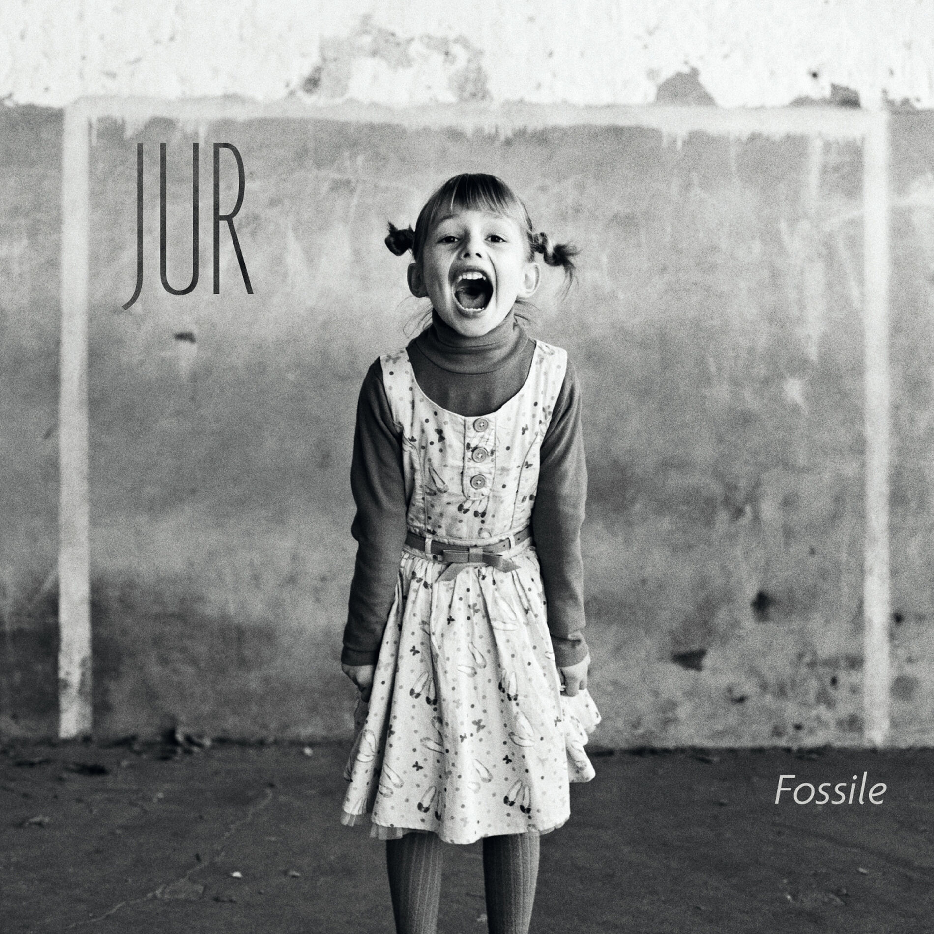 Album cover of Fossile