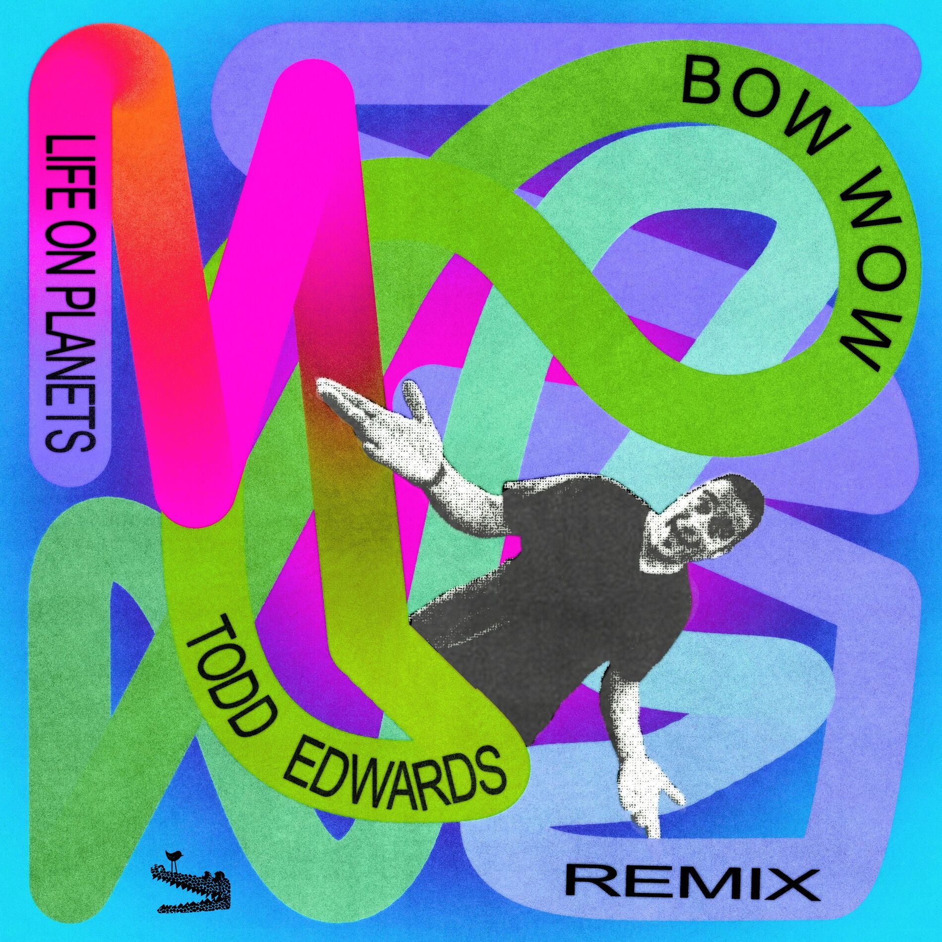 Album cover of Bow Wow (Todd Edwards Remix)