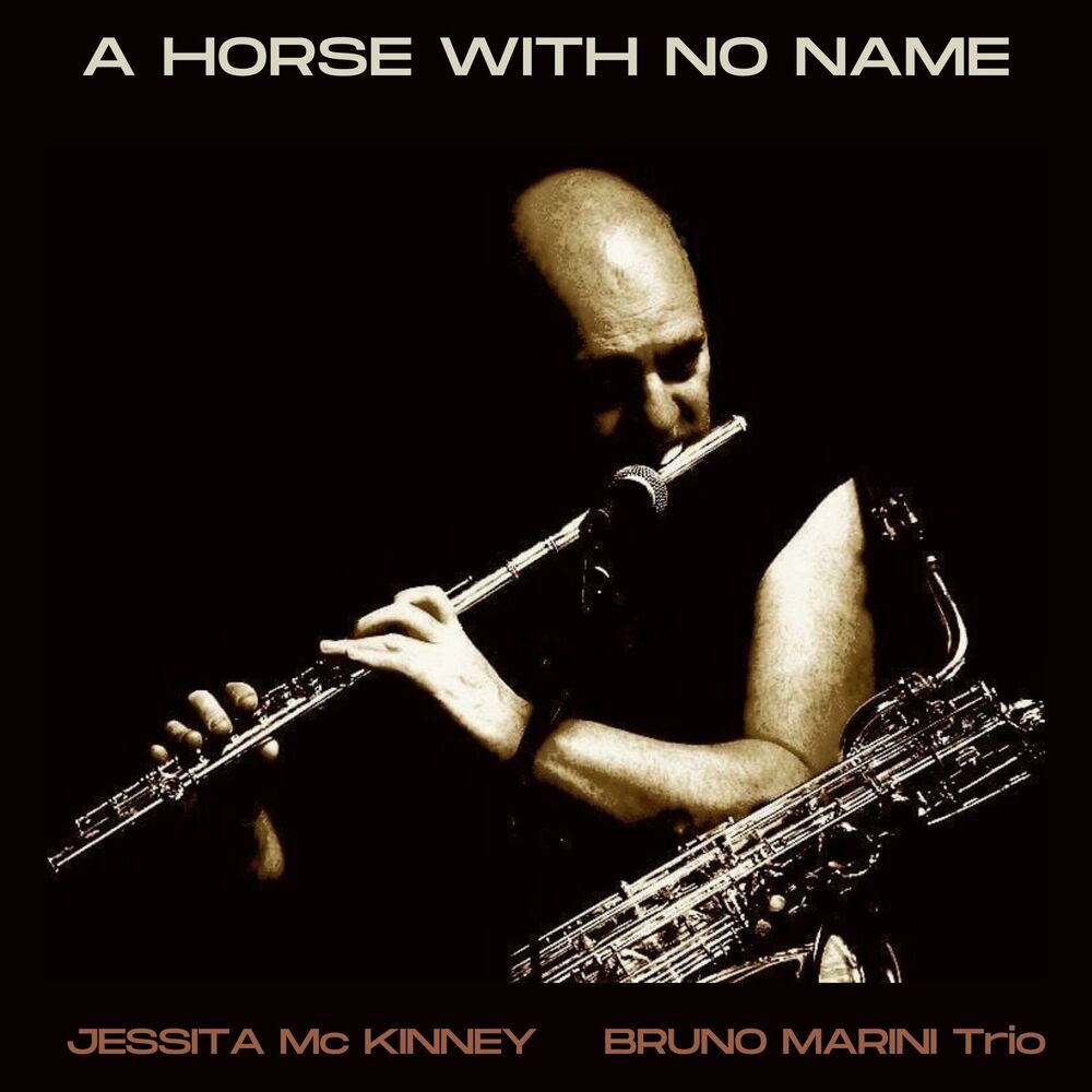 Picture of A horse with no name