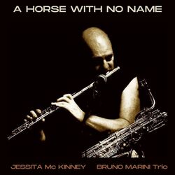 Cover of A horse with no name