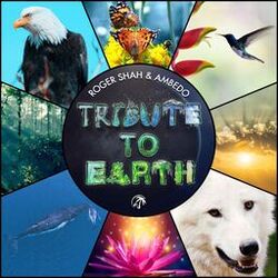Cover of Tribute To Earth