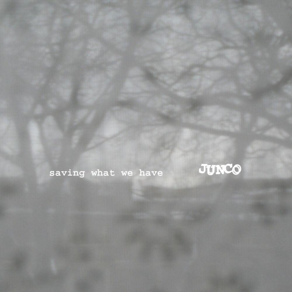 Picture of Saving What We Have
