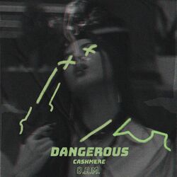 Cover of Dangerous