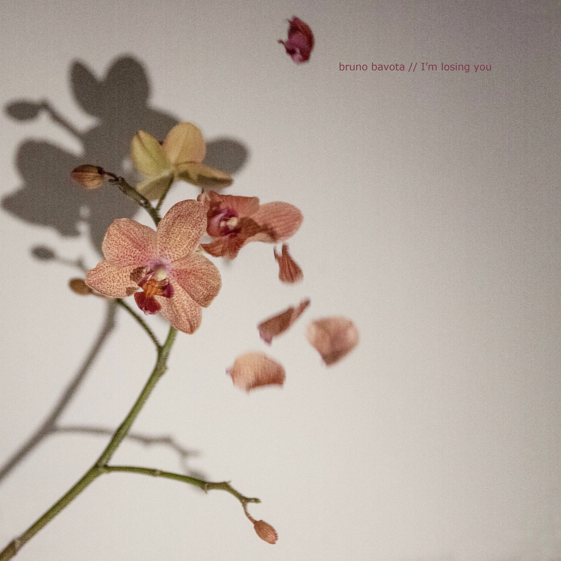 Album cover of I'm losing you