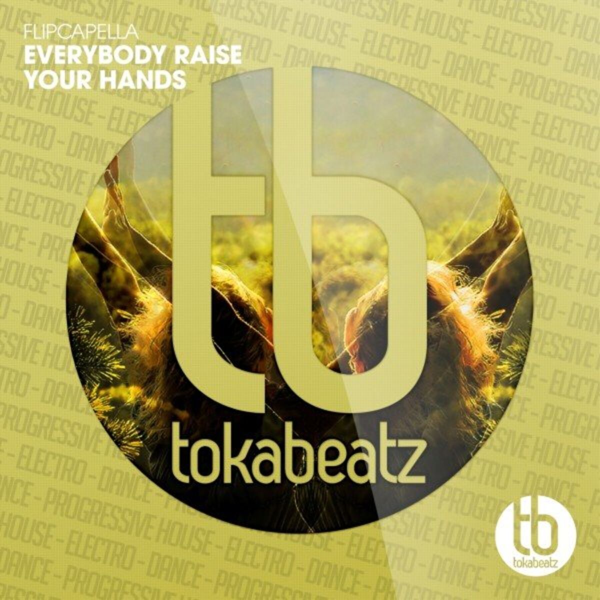 Album cover of Everybody Raise Your Hands
