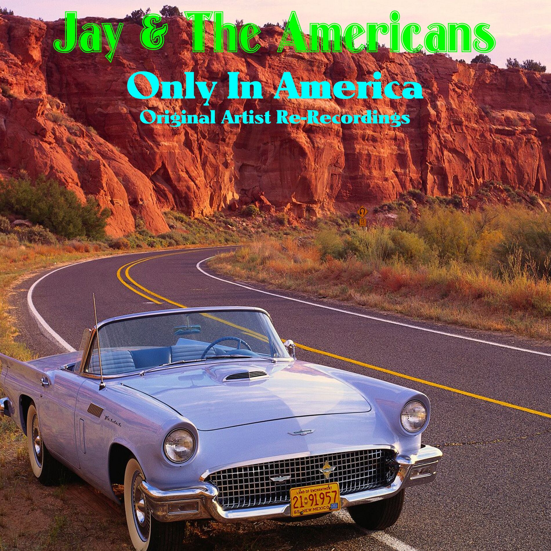 Album cover of Only in America