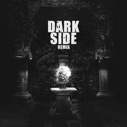 Cover of DARKSIDE (Besomorph Remix)