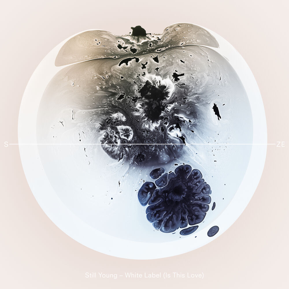 Picture of White Label (Is This Love)