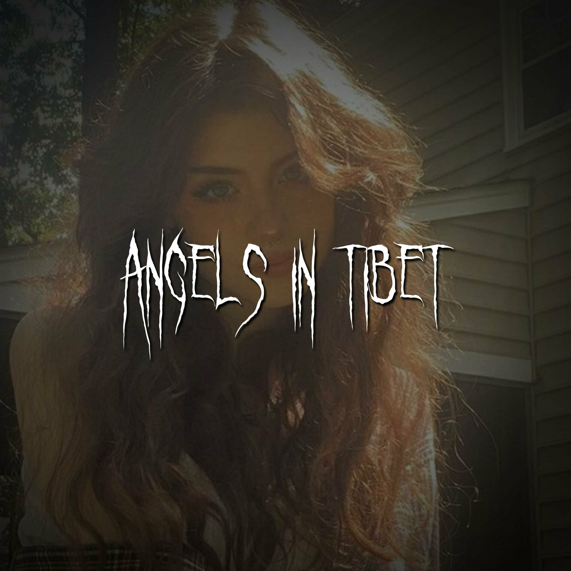 Album cover of angels in tibet