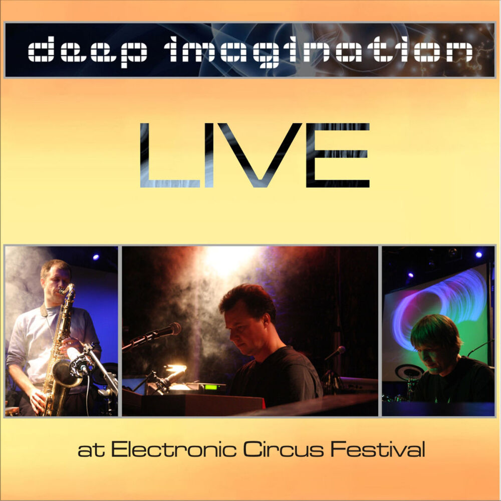 Picture of Live at Electronic Circus Festival