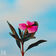 Beautiful Things by Madilyn album cover