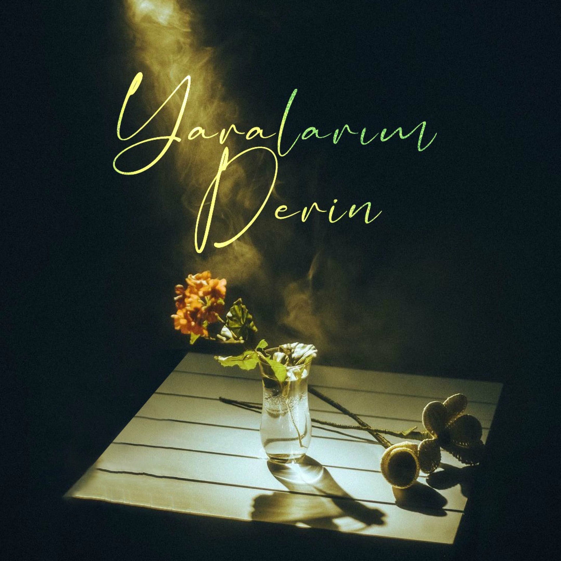 Album cover of Yaralarım Derin (feat. Hako)