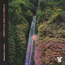 Cover of Throw It All Away