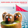 MUCHACHOS by Dario Nuñez album cover