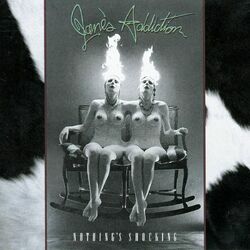Cover of Nothing's Shocking