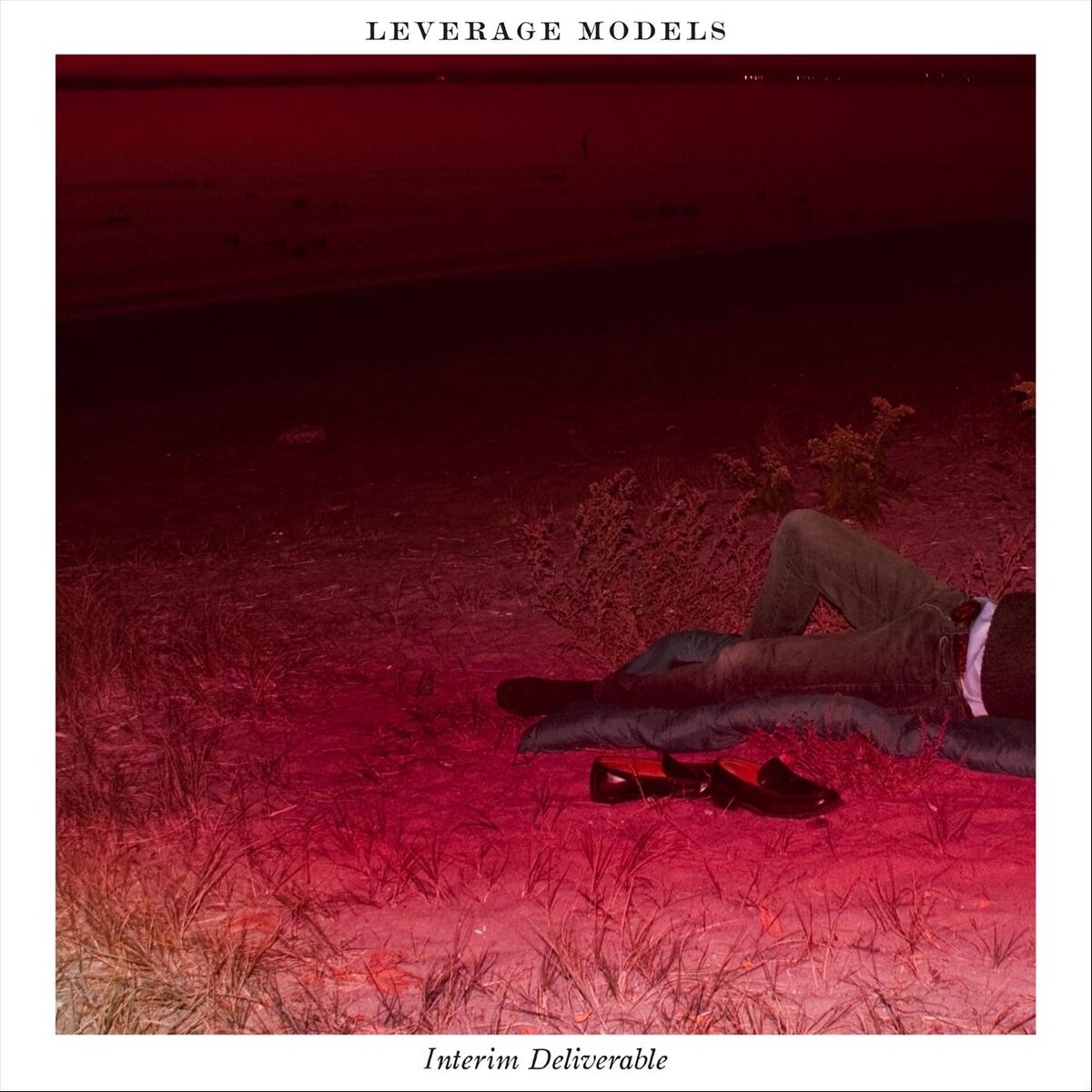 Album cover of Interim Deliverable
