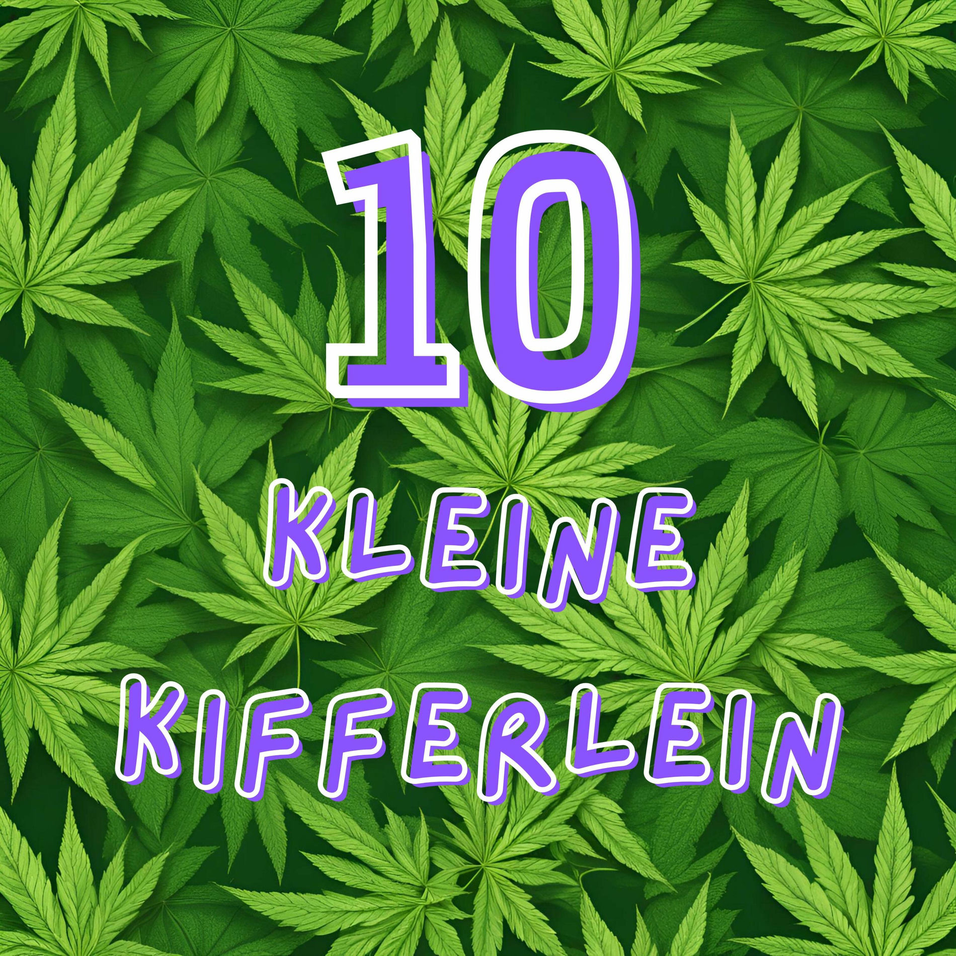 Album cover of 10 kleine Kifferlein