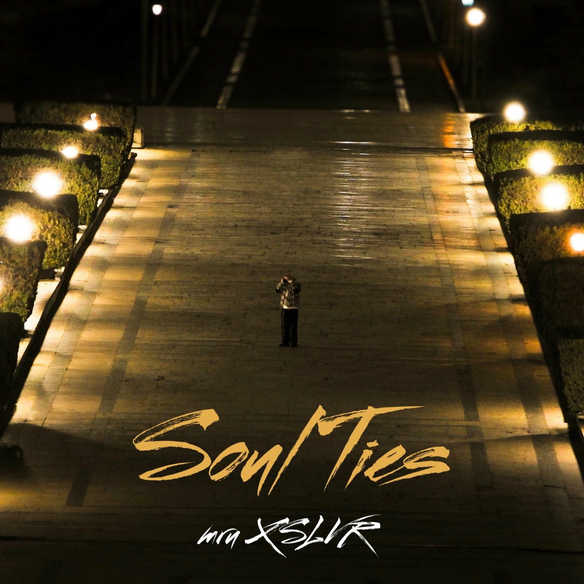 Album cover of Soul Ties (feat. SLVR)