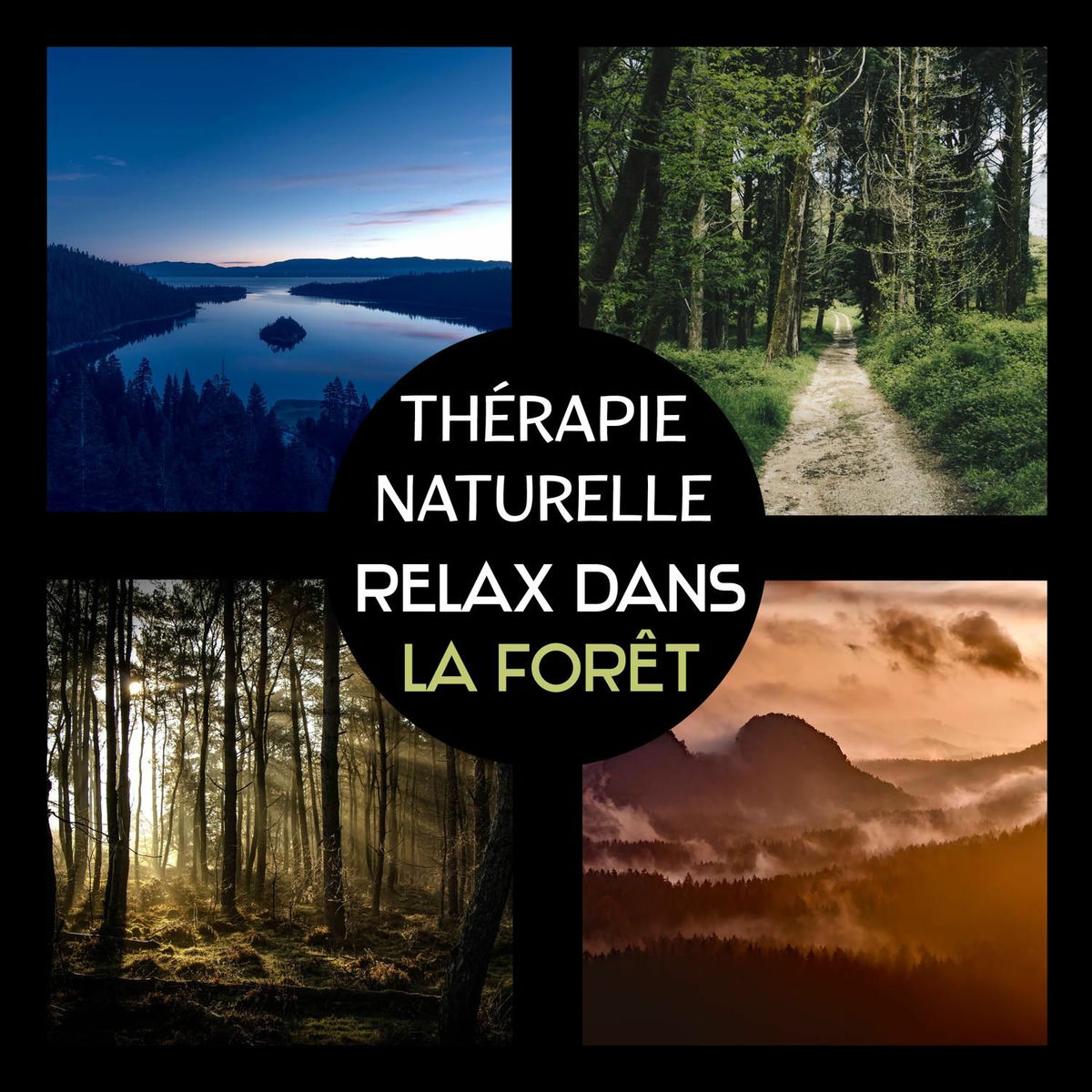 Album cover of Thérapie naturelle: Relax dans la forêt - Réduire l'anxiété, surmonter la dépression, pensée positive, le secret du bien-être