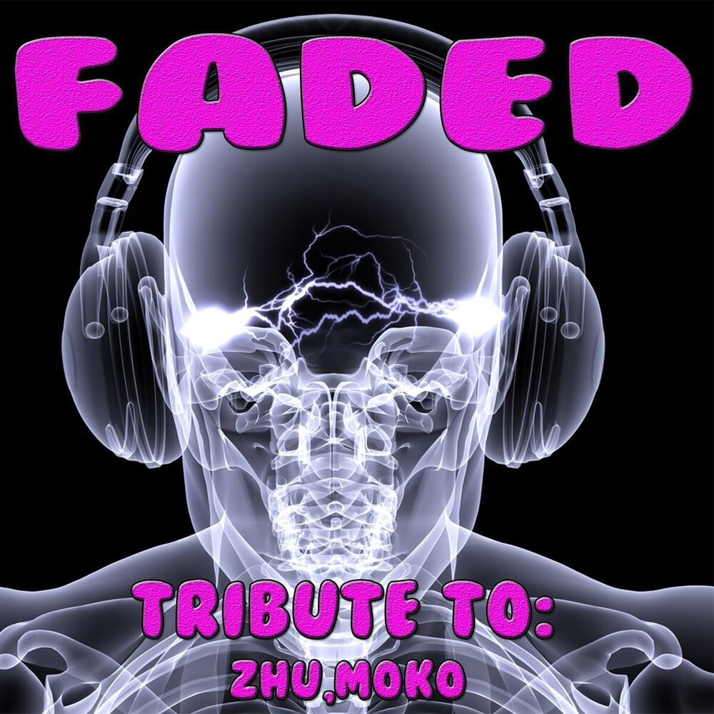 Picture of Faded: Tribute to Zhu, Moko