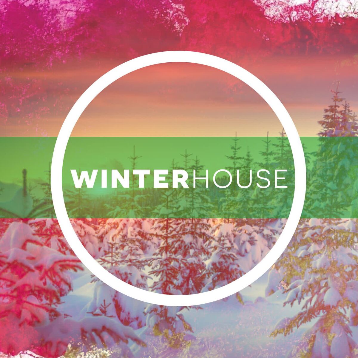 Album cover of Winter House 2019