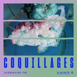 Cover of Coquillages
