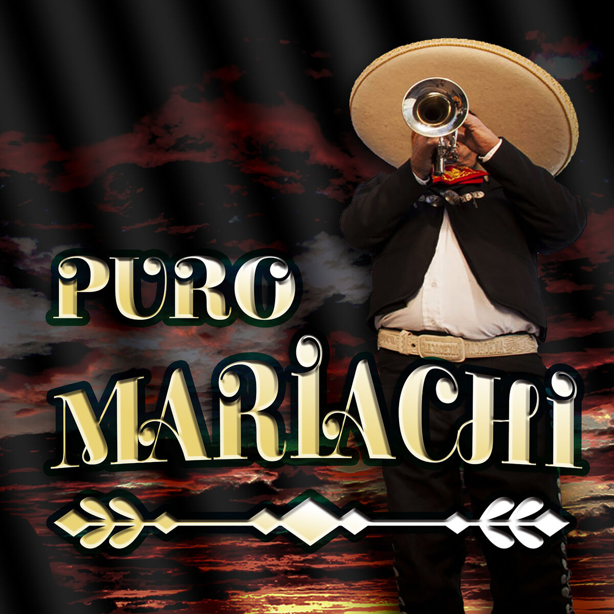 Album cover of Puro Mariachi