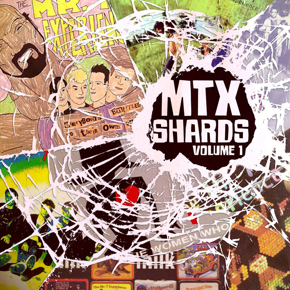 Picture of Shards, Vol. 1