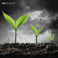 Cover of Slow Down, KID (Deluxe Edition)