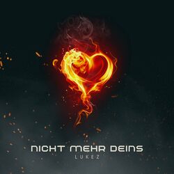 Cover of Nicht mehr deins