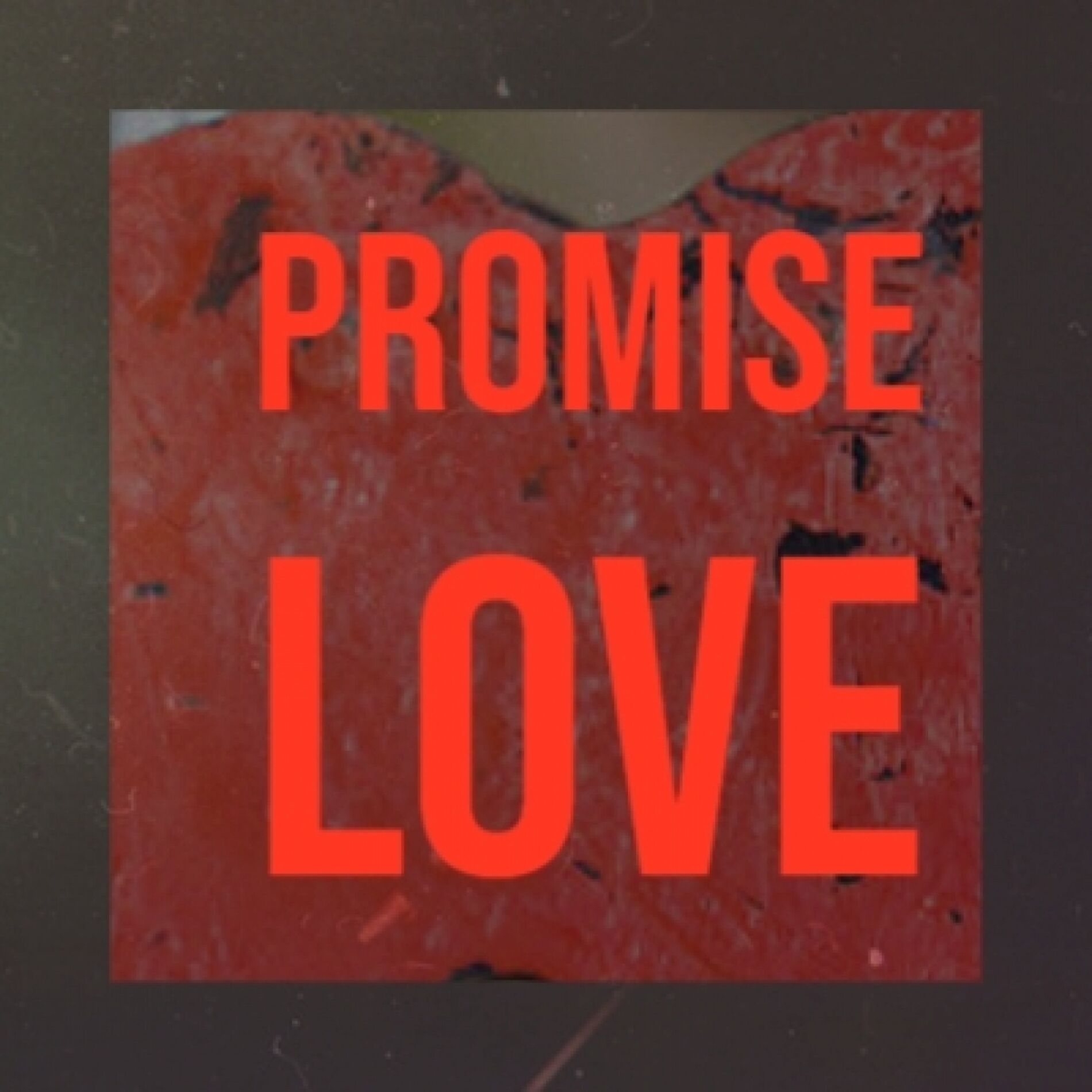 Album cover of Promise Love