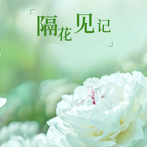 隔花见记