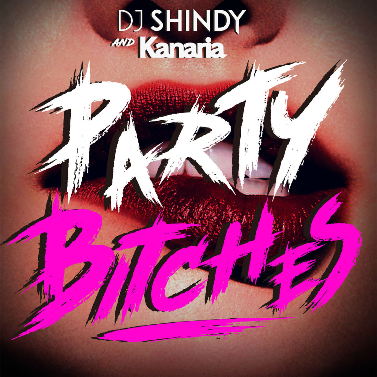 Album cover of Party Bitches